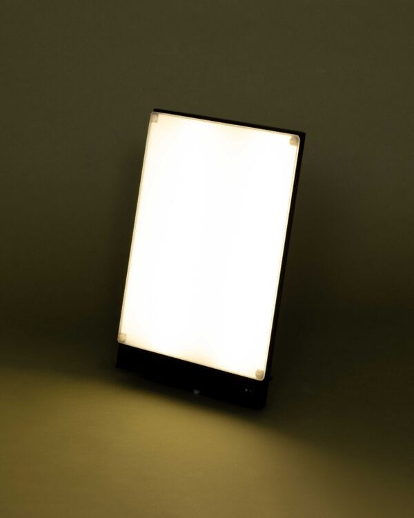 BOXelite desk lamp side view lit on an olive background