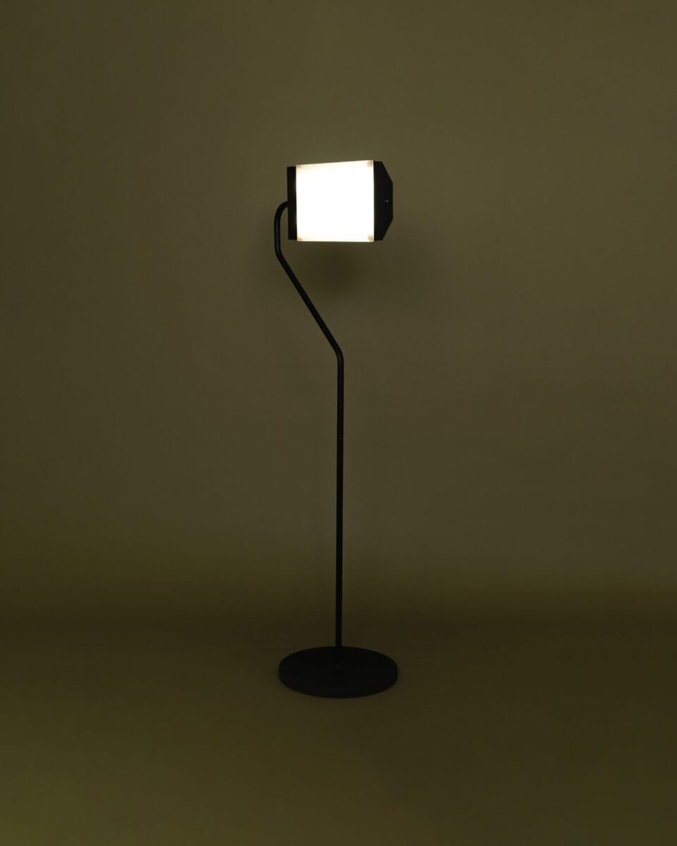Flamingo Lamp lit on an olive green background