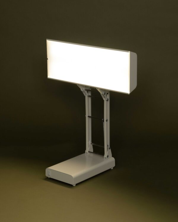 NLT Desk Lamp II light up on olive green background